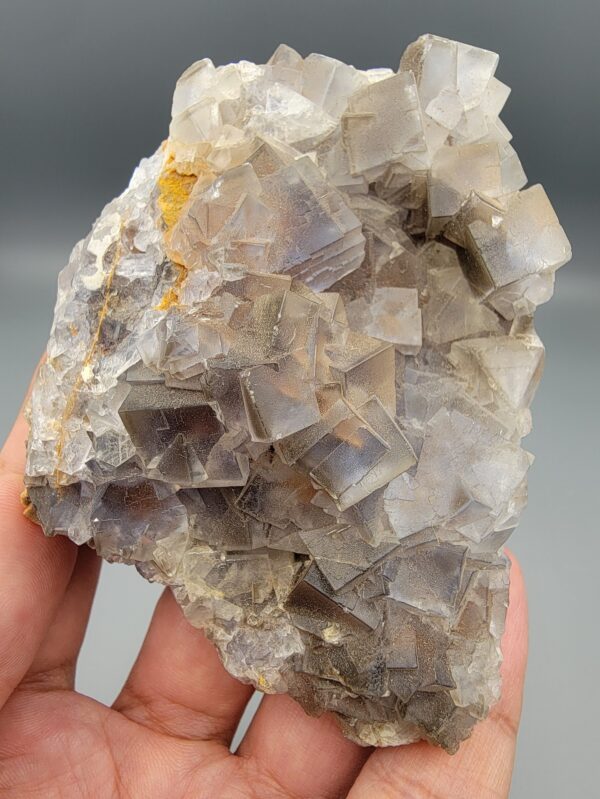 "Natural Fluorite crystal cluster specimen 1313 grams from Balochistan Pakistan showing large cubic purplish gray crystals with yellow limonite staining, held in hand"