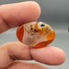 "Natural Carnelian Agate gemstone 85.42 carat oval cabochon from Yemen displayed in jewelry box showing red, orange, yellow, white, and brown natural color zones"
