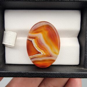 A high-gloss 31.42-carat oval natural Yemeni carnelian banded agate cabochon resting in a black jewelry box. The stone displays rich carnelian red, sharp white fortification banding, honey yellow, and dark brown-black layers with impressive clarity and polish.