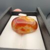 "Natural Carnelian Banded Agate Sulemani Aqeeq gemstone 32.29 carat oval cabochon from Yemen held in tweezers showing red, orange, yellow, and white natural color bands"