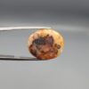 A 14.55-carat oval natural Yemeni carnelian agate cabochon held in tweezers against a gray studio background. One side displays dark brown and black orbicular dendrites on a golden-yellow surface, while the reverse side shows bright orange carnelian with white-ringed eye inclusions.