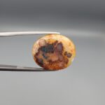 A 14.55-carat oval natural Yemeni carnelian agate cabochon held in tweezers against a gray studio background. One side displays dark brown and black orbicular dendrites on a golden-yellow surface, while the reverse side shows bright orange carnelian with white-ringed eye inclusions.