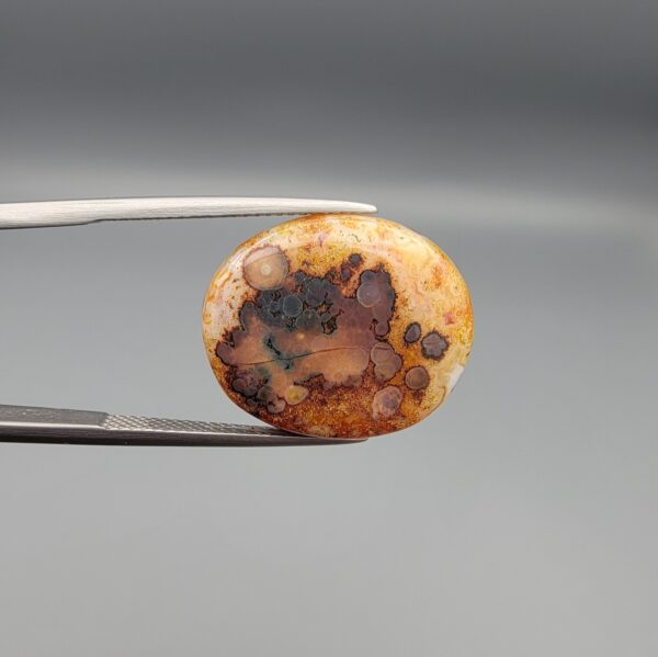 A 14.55-carat oval natural Yemeni carnelian agate cabochon held in tweezers against a gray studio background. One side displays dark brown and black orbicular dendrites on a golden-yellow surface, while the reverse side shows bright orange carnelian with white-ringed eye inclusions.