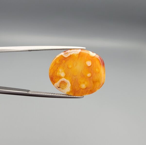 A 14.55-carat oval natural Yemeni carnelian agate cabochon held in tweezers against a gray studio background. One side displays dark brown and black orbicular dendrites on a golden-yellow surface, while the reverse side shows bright orange carnelian with white-ringed eye inclusions.