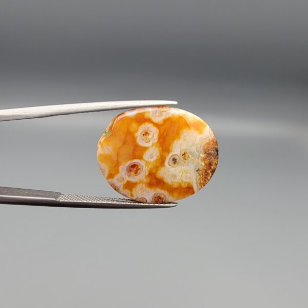 A 10.79-carat oval natural Yemeni carnelian agate cabochon held in tweezers against a gray backdrop. The front side shows a rich, speckled field of red, orange, yellow, and black dendritic inclusions, while the reverse side reveals clear orbicular white-ringed eyes on a translucent golden-orange surface.