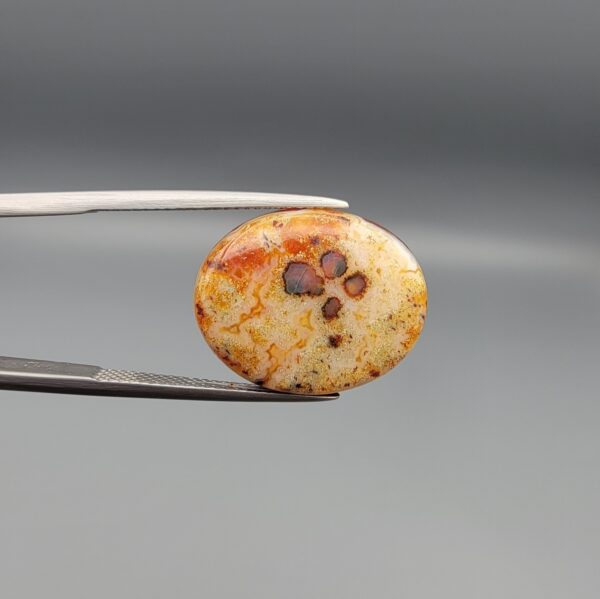 A 12.20-carat oval natural Yemeni carnelian agate cabochon held in tweezers against a gray backdrop. The front displays fine lace-like yellow and orange dendritic patterning with central dark spots, while the reverse side reveals vivid carnelian red, orange, and white cloud formations.