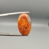 ​A 14.24-carat elongated oval natural Yemeni carnelian agate cabochon held in tweezers against a gray backdrop. The front displays a densely speckled matrix of orange, yellow, red, and dark brown inclusions, while the reverse face shows rich carnelian red, orange banding, and white orbicular eye patterns.