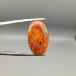 ​A 14.24-carat elongated oval natural Yemeni carnelian agate cabochon held in tweezers against a gray backdrop. The front displays a densely speckled matrix of orange, yellow, red, and dark brown inclusions, while the reverse face shows rich carnelian red, orange banding, and white orbicular eye patterns.
