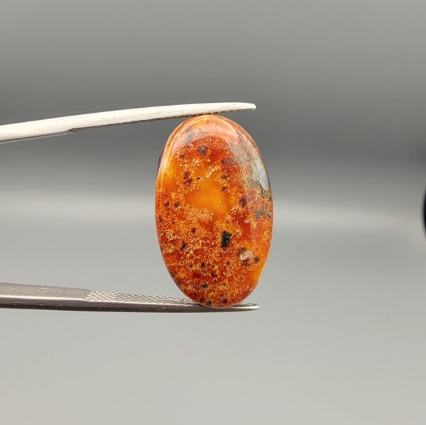 ​A 14.24-carat elongated oval natural Yemeni carnelian agate cabochon held in tweezers against a gray backdrop. The front displays a densely speckled matrix of orange, yellow, red, and dark brown inclusions, while the reverse face shows rich carnelian red, orange banding, and white orbicular eye patterns.