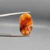 ​A 14.24-carat elongated oval natural Yemeni carnelian agate cabochon held in tweezers against a gray backdrop. The front displays a densely speckled matrix of orange, yellow, red, and dark brown inclusions, while the reverse face shows rich carnelian red, orange banding, and white orbicular eye patterns.