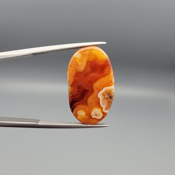 ​A 14.24-carat elongated oval natural Yemeni carnelian agate cabochon held in tweezers against a gray backdrop. The front displays a densely speckled matrix of orange, yellow, red, and dark brown inclusions, while the reverse face shows rich carnelian red, orange banding, and white orbicular eye patterns.