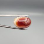 A 20.87-carat precision oval natural Iranian iris fire agate cabochon held in metal tweezers against a gray backdrop, displaying a deep blood-red carnelian core surrounded by a chatoyant golden boundary layer and a smooth, mirror-polished dome.