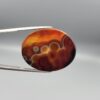 Natural Sulemani agate oval cabochon 64.07 carat with black white orbicular bubble pattern and warm amber reverse from Iran