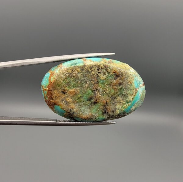 A 41.41-carat oval natural Iranian Neyshabur turquoise cabochon held in metal tweezers against a neutral gray backdrop. The polished front reveals a brilliant greenish-blue tone with intricate golden-brown spiderweb matrix lines, while the unpolished back showcases the raw, natural earth host rock layer.