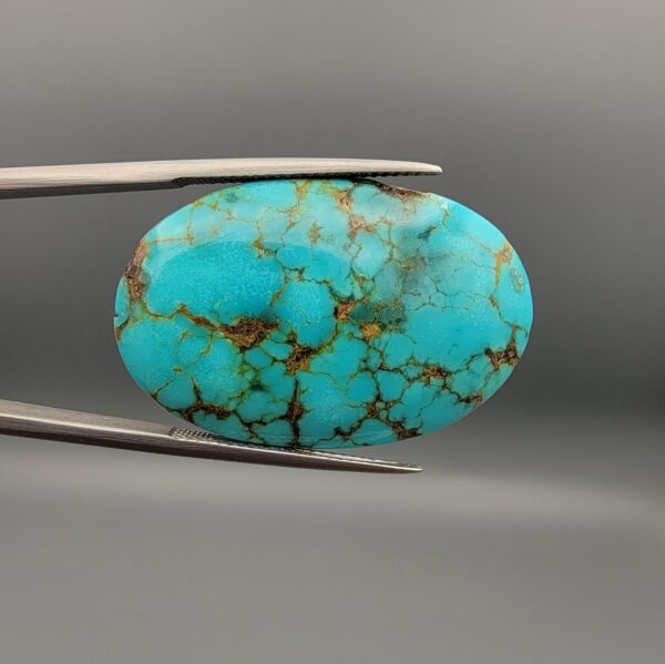 A 41.41-carat oval natural Iranian Neyshabur turquoise cabochon held in metal tweezers against a neutral gray backdrop. The polished front reveals a brilliant greenish-blue tone with intricate golden-brown spiderweb matrix lines, while the unpolished back showcases the raw, natural earth host rock layer.