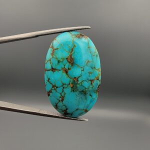 A 41.41-carat oval natural Iranian Neyshabur turquoise cabochon held in metal tweezers against a neutral gray backdrop. The polished front reveals a brilliant greenish-blue tone with intricate golden-brown spiderweb matrix lines, while the unpolished back showcases the raw, natural earth host rock layer.