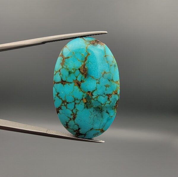 A 41.41-carat oval natural Iranian Neyshabur turquoise cabochon held in metal tweezers against a neutral gray backdrop. The polished front reveals a brilliant greenish-blue tone with intricate golden-brown spiderweb matrix lines, while the unpolished back showcases the raw, natural earth host rock layer.