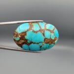 A 53.05-carat oval natural Iranian Neyshabur turquoise cabochon held in metal tweezers against a gray backdrop. The smooth front dome displays vibrant greenish-blue color pockets separated by bold, earthy brown matrix web patterns, while the unpolished reverse reveals the raw host rock matrix.