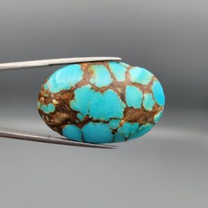 A 53.05-carat oval natural Iranian Neyshabur turquoise cabochon held in metal tweezers against a gray backdrop. The smooth front dome displays vibrant greenish-blue color pockets separated by bold, earthy brown matrix web patterns, while the unpolished reverse reveals the raw host rock matrix.