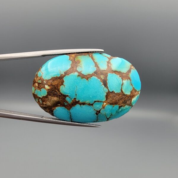 A 53.05-carat oval natural Iranian Neyshabur turquoise cabochon held in metal tweezers against a gray backdrop. The smooth front dome displays vibrant greenish-blue color pockets separated by bold, earthy brown matrix web patterns, while the unpolished reverse reveals the raw host rock matrix.