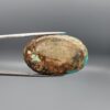 A 53.05-carat oval natural Iranian Neyshabur turquoise cabochon held in metal tweezers against a gray backdrop. The smooth front dome displays vibrant greenish-blue color pockets separated by bold, earthy brown matrix web patterns, while the unpolished reverse reveals the raw host rock matrix.