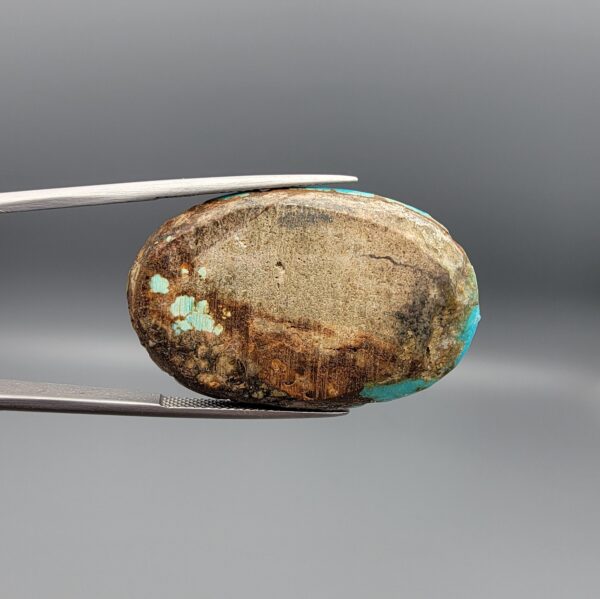 A 53.05-carat oval natural Iranian Neyshabur turquoise cabochon held in metal tweezers against a gray backdrop. The smooth front dome displays vibrant greenish-blue color pockets separated by bold, earthy brown matrix web patterns, while the unpolished reverse reveals the raw host rock matrix.