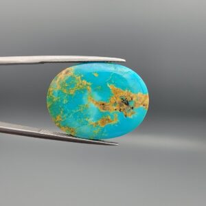 A 22.91-carat oval natural Iranian Neyshabur turquoise cabochon held in metal tweezers against a neutral gray background. The smooth top dome features a bright greenish-blue color highlighted by delicate golden-brown spiderweb matrix patterns, while the unpolished reverse displays the natural host rock with a striking streak of turquoise.