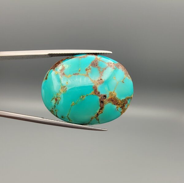 ​A 41.67-carat oval natural Iranian Neyshabur turquoise cabochon held in metal tweezers against a neutral gray backdrop. The glossy front displays a bright greenish-blue color interwoven with natural golden-brown spiderweb matrix patterns, while the reverse side reveals its raw, unpolished rock matrix base.