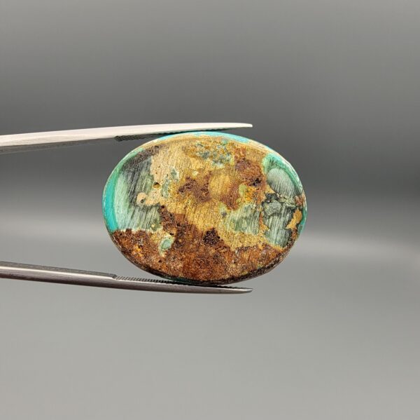 ​A 41.67-carat oval natural Iranian Neyshabur turquoise cabochon held in metal tweezers against a neutral gray backdrop. The glossy front displays a bright greenish-blue color interwoven with natural golden-brown spiderweb matrix patterns, while the reverse side reveals its raw, unpolished rock matrix base.