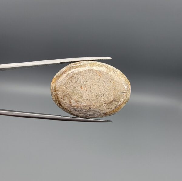 ​A 43.91-carat oval natural Iranian Neyshabur turquoise cabochon held in metal tweezers against a neutral gray backdrop. The polished front shows a vibrant greenish-blue body with swirling golden-brown matrix veining, while the reverse side showcases its unpolished, natural host rock base.