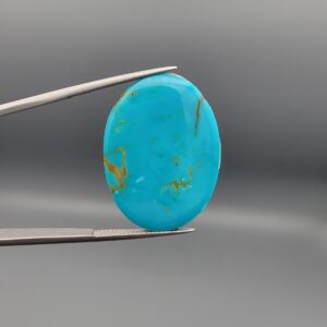 ​An 18.12-carat vertical oval natural Iranian Neyshabur turquoise cabochon held in metal tweezers against a neutral gray background. The front presents a smooth, vibrant greenish-blue dome with fine golden-brown matrix accents, while the reverse side reveals its natural, unpolished earth matrix base.