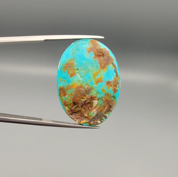 ​An 18.12-carat vertical oval natural Iranian Neyshabur turquoise cabochon held in metal tweezers against a neutral gray background. The front presents a smooth, vibrant greenish-blue dome with fine golden-brown matrix accents, while the reverse side reveals its natural, unpolished earth matrix base.