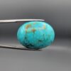 ​A 42.77-carat oval natural Iranian Neyshabur turquoise cabochon held in metal tweezers against a neutral gray background. The glossy front dome presents a vivid greenish-blue color with delicate spiderweb matrix veining, while the reverse side displays a natural, unpolished base with rich brownish matrix patterns.
