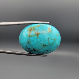 ​A 42.77-carat oval natural Iranian Neyshabur turquoise cabochon held in metal tweezers against a neutral gray background. The glossy front dome presents a vivid greenish-blue color with delicate spiderweb matrix veining, while the reverse side displays a natural, unpolished base with rich brownish matrix patterns.