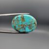 ​A 42.77-carat oval natural Iranian Neyshabur turquoise cabochon held in metal tweezers against a neutral gray background. The glossy front dome presents a vivid greenish-blue color with delicate spiderweb matrix veining, while the reverse side displays a natural, unpolished base with rich brownish matrix patterns.