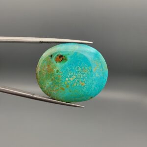 A 31.99-carat oval natural Iranian Neyshabur turquoise cabochon held in metal tweezers against a neutral gray backdrop. The polished front dome features a rich greenish-blue tone with fine golden-brown matrix mottling and webbed textures, while the back reveals a raw, unpolished earth host-rock base.