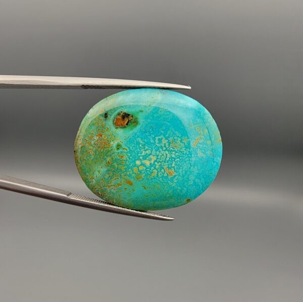 A 31.99-carat oval natural Iranian Neyshabur turquoise cabochon held in metal tweezers against a neutral gray backdrop. The polished front dome features a rich greenish-blue tone with fine golden-brown matrix mottling and webbed textures, while the back reveals a raw, unpolished earth host-rock base.
