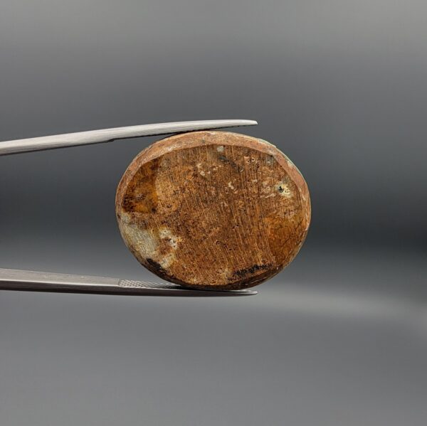 A 31.99-carat oval natural Iranian Neyshabur turquoise cabochon held in metal tweezers against a neutral gray backdrop. The polished front dome features a rich greenish-blue tone with fine golden-brown matrix mottling and webbed textures, while the back reveals a raw, unpolished earth host-rock base.