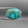 A 24.92-carat oval natural Iranian Neyshabur turquoise cabochon held in metal tweezers against a neutral gray background. The front presents a smooth greenish-blue dome with intricate golden-brown spiderweb veining, while the reverse side showcases its unpolished, natural host-rock base.