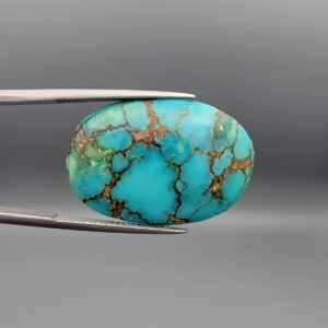 A 24.92-carat oval natural Iranian Neyshabur turquoise cabochon held in metal tweezers against a neutral gray background. The front presents a smooth greenish-blue dome with intricate golden-brown spiderweb veining, while the reverse side showcases its unpolished, natural host-rock base.