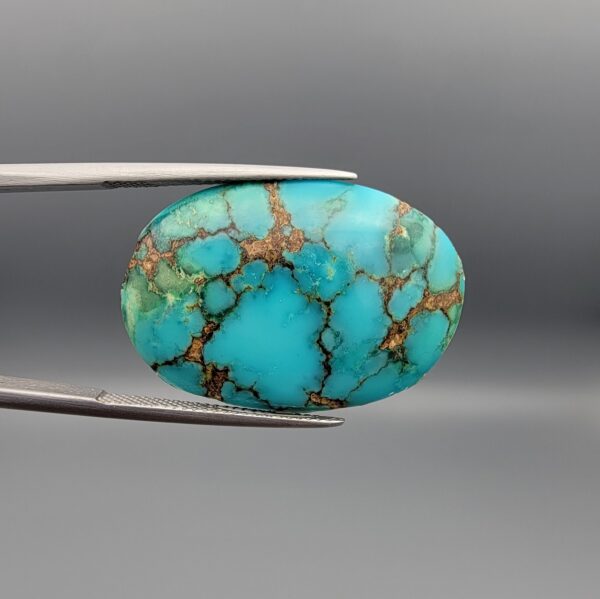 A 24.92-carat oval natural Iranian Neyshabur turquoise cabochon held in metal tweezers against a neutral gray background. The front presents a smooth greenish-blue dome with intricate golden-brown spiderweb veining, while the reverse side showcases its unpolished, natural host-rock base.