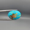A 22.36-carat oval natural Iranian Neyshabur turquoise cabochon held in metal tweezers against a neutral gray background. The front exhibits a rich sky-blue tone with soft brownish-white natural matrix patches, while the reverse side showcases a raw brown matrix core interwoven with blue turquoise.