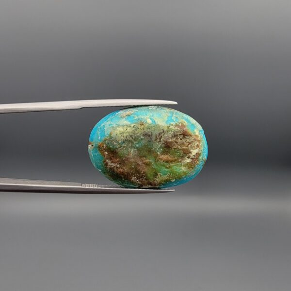​A 20.70-carat oval natural Iranian Neyshabur turquoise cabochon held in metal tweezers against a neutral gray background. The front features a smooth greenish-blue dome with naturally scattered golden-brown matrix clusters, while the reverse side reveals a raw brown earthy host-rock base.