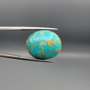 ​A 17.29-carat oval natural Iranian Neyshabur turquoise cabochon held in metal tweezers against a neutral gray background. The front presents a smooth greenish-blue dome with naturally distributed golden-brown matrix mottling, while the reverse side reveals a flat surface covered with golden host rock and turquoise patterning.