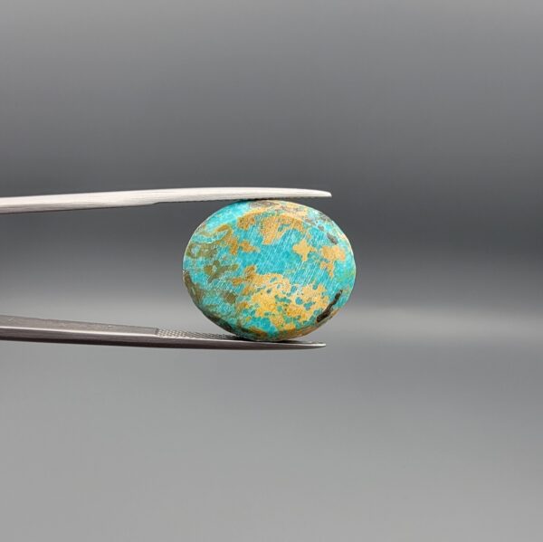 ​A 17.29-carat oval natural Iranian Neyshabur turquoise cabochon held in metal tweezers against a neutral gray background. The front presents a smooth greenish-blue dome with naturally distributed golden-brown matrix mottling, while the reverse side reveals a flat surface covered with golden host rock and turquoise patterning.