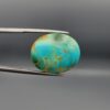 A 22.46-carat oval natural Iranian Neyshabur turquoise cabochon held in metal tweezers against a neutral gray background. The front showcases a smooth greenish-blue dome with a naturally formed network of golden-brown matrix lines, while the reverse side reveals a flat, unpolished light host-rock base.