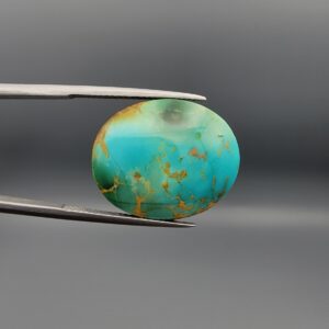 A 22.46-carat oval natural Iranian Neyshabur turquoise cabochon held in metal tweezers against a neutral gray background. The front showcases a smooth greenish-blue dome with a naturally formed network of golden-brown matrix lines, while the reverse side reveals a flat, unpolished light host-rock base.