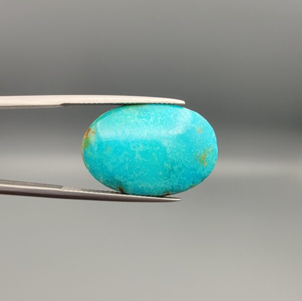 ​A 15.84-carat oval natural Iranian Neyshabur turquoise cabochon held in metal tweezers against a neutral gray background. The front presents a smooth greenish-blue dome with faint brownish matrix highlights, while the reverse side reveals raw earthy host rock featuring a natural mountain cavity formed during extraction.