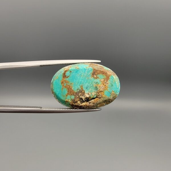 ​A 15.84-carat oval natural Iranian Neyshabur turquoise cabochon held in metal tweezers against a neutral gray background. The front presents a smooth greenish-blue dome with faint brownish matrix highlights, while the reverse side reveals raw earthy host rock featuring a natural mountain cavity formed during extraction.