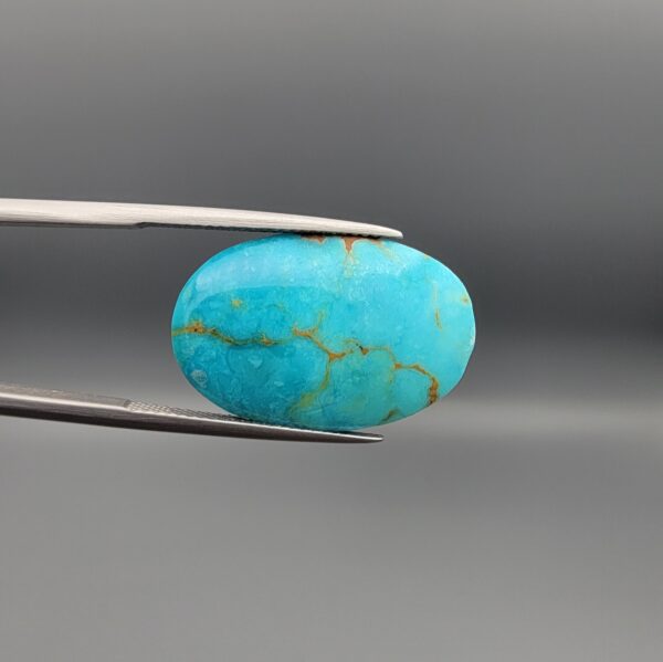 A 15.45-carat oval natural Iranian Neyshabur turquoise cabochon held in metal tweezers against a neutral gray background. The front presents a smooth greenish-blue dome with a delicate spiderweb network of golden-brown matrix lines, while the reverse side reveals a flat, unpolished host-rock surface mixed with raw turquoise.